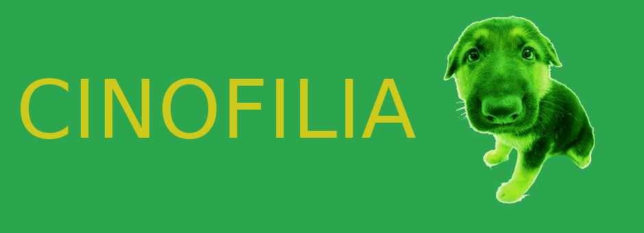 rool 2 cinofilia.png